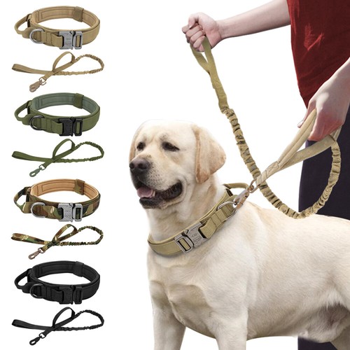 Collare tattico per - , cani