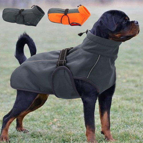 Cappotto invernale - cappotto,