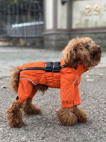 Giacca impermeabile per cani - per,