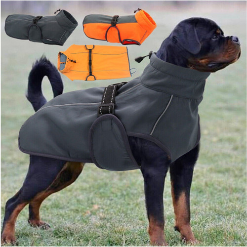 Cappotto invernale - cappotto,