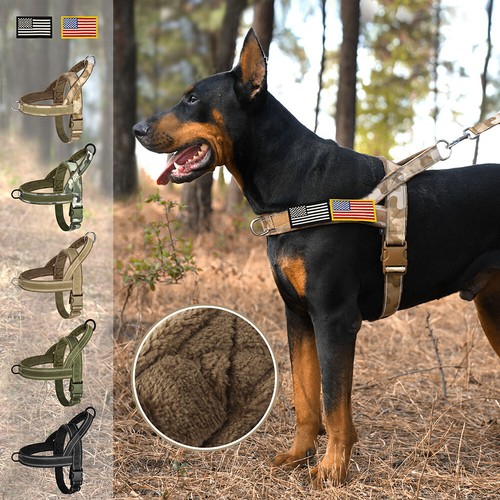 Imbracatura per cani - cani, in