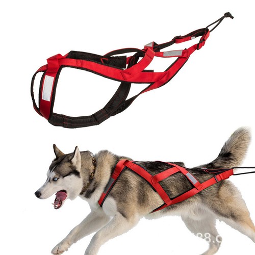 1pz imbracatura per cani - imbracatura,