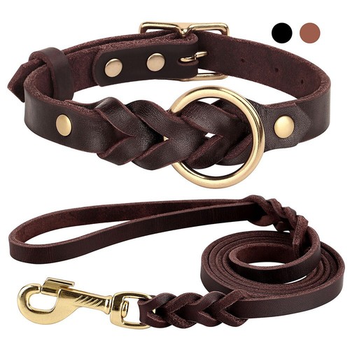 Set collare guinzaglio - set,