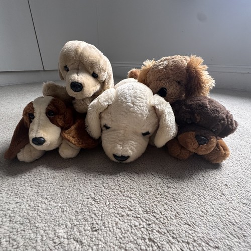 Peluche cane giocattolo per