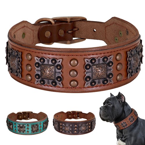 Collare cane largo - , borchiato