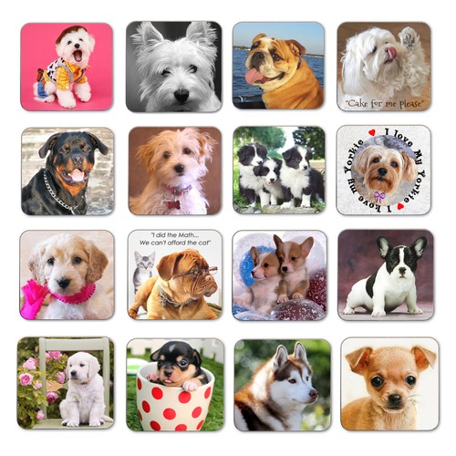 Sottobicchieri per cani - ,