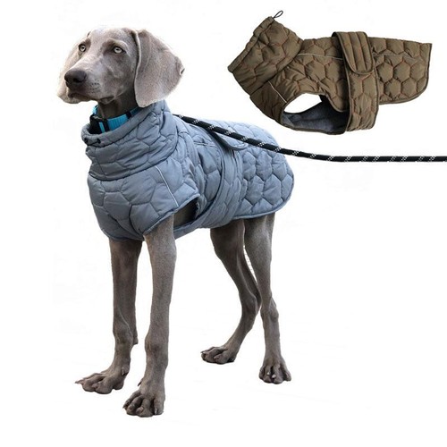 Giacca per cani - giacca,