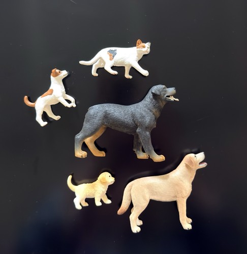 Schleich figure cane gatto